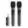 PHILIPS WIRELESS MICROPHONE Philips DLM3401TP/00 Dual Wireless Microphone System, 2.4GHz Dynamic Mics, 30m Range, Rechargeable Receiver, 4-Level Vocal Gain, 6.3mm + 3.5mm Adapter, Karaoke & Singing